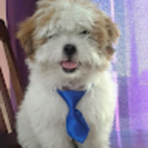 Meet your Posher, Raul